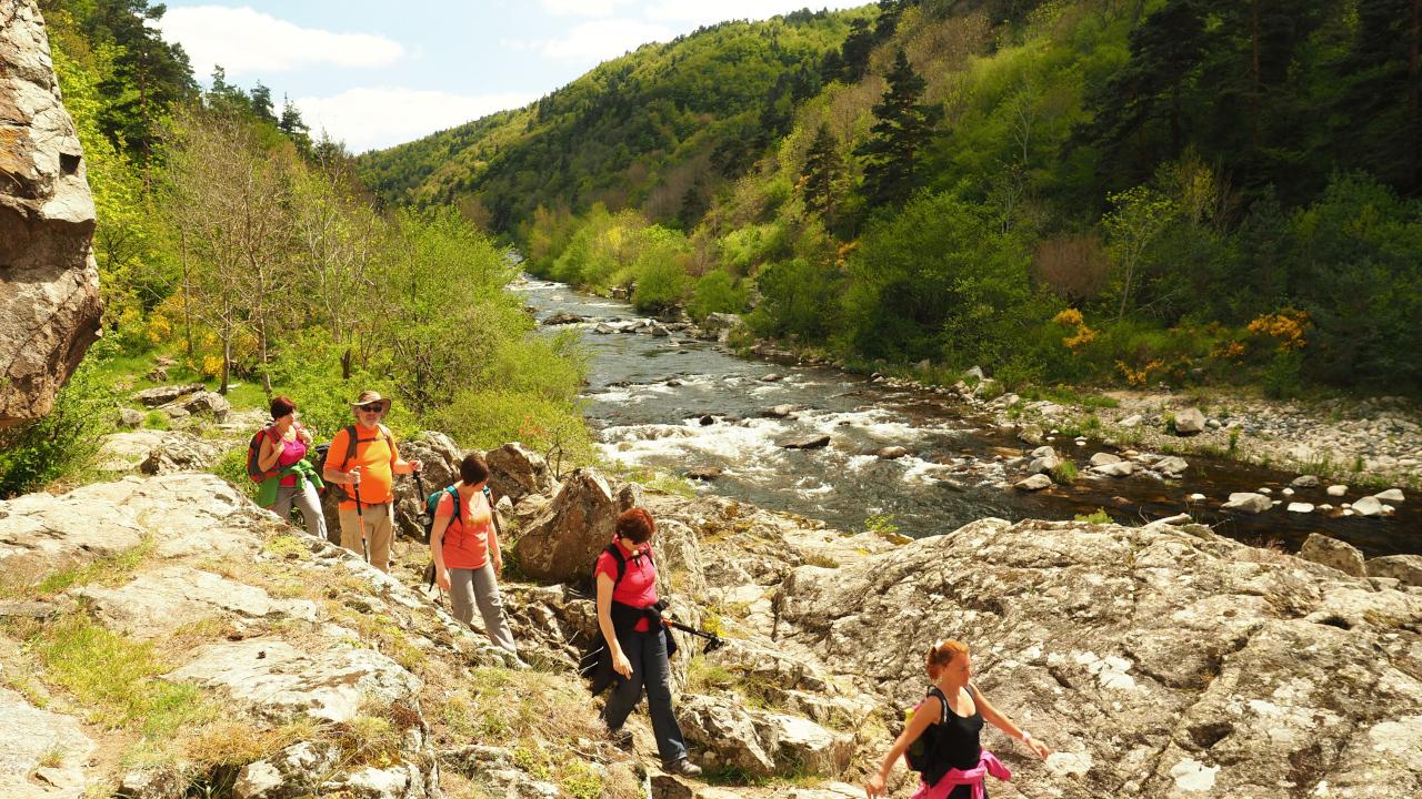 Activités organisées pour les adultes