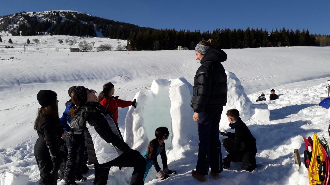 Activités organisées pour les enfants