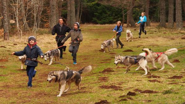 Activités encadrées à faire en famille